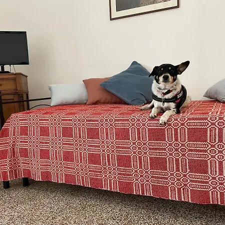 Belvedere 아파트호텔 3*