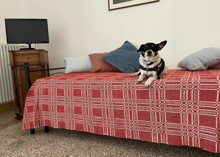 Belvedere Aparthotel 3*