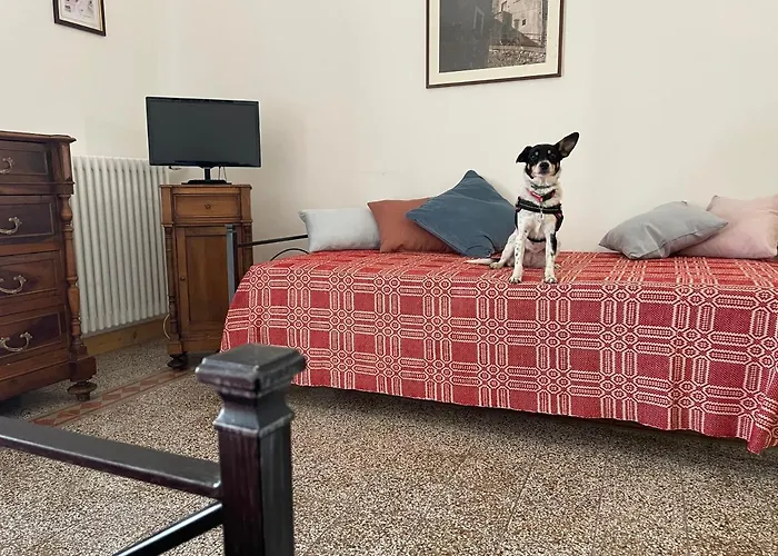 Belvedere Aparthotel